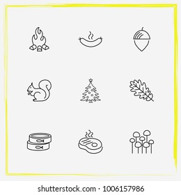 Camping line icon set christmas, tree leaf and mushrooms