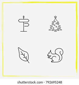 Camping line icon set christmas, squirrel and sign