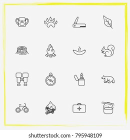 Camping line icon set compass, leaf and paw