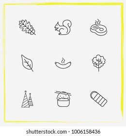 Camping line icon set food, steak and leaf