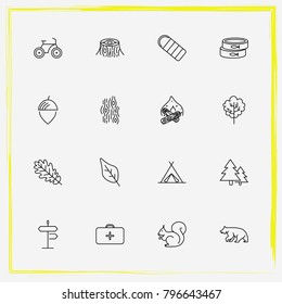 Camping line icon set medicine, squirrel and stump