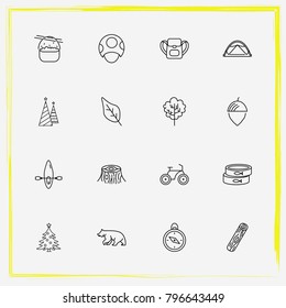 Camping line icon set mushroom, nut and christmas