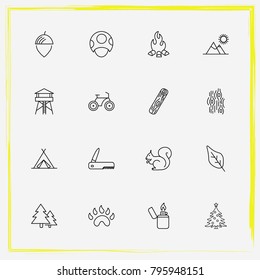 Camping line icon set nut, knife and tent