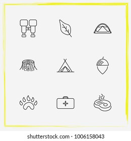 Camping line icon set paw, nut and chest