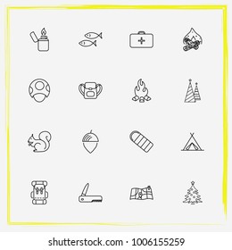 Camping line icon set squirrel, bag and christmas