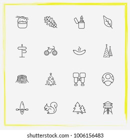 Camping line icon set squirrel, tree leaf and bike