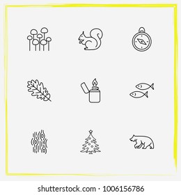 Camping line icon set squirrel, compass and lighter