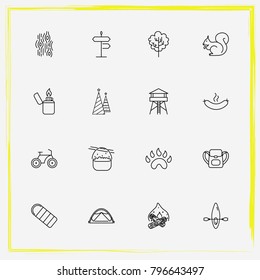 Camping line icon set street, bonfire and paw