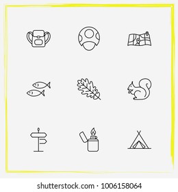 Camping line icon set tree leaf, street and squirrel