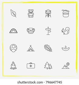 Camping line icon set tree, chest and fir-tree