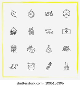 Camping line icon set wood, mushroom and christmas