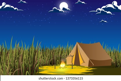 camping at the meadow in the night