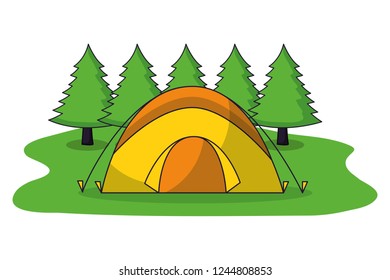 camping summer concept