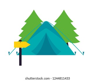 camping summer concept