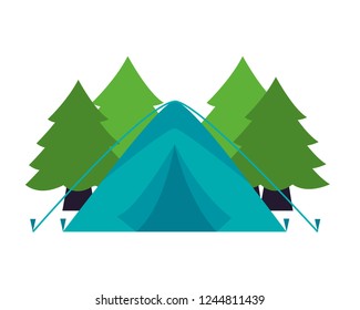 camping summer concept