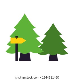 camping summer concept