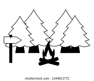 camping summer concept