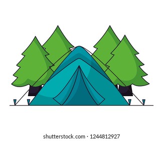 camping summer concept