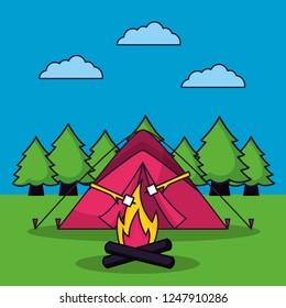 camping summer relate