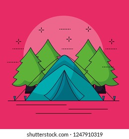camping summer related