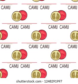 Camu camu. Berry. Background, wallpaper, seamless. Color.Text - Camu camu. Sketch.
