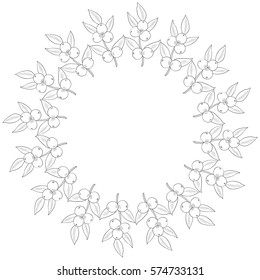Camu camu berry, fruit, leaf branch. Superfood organic berry. Hand drawn sketch illustration. 