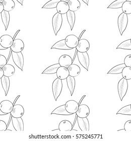 Camu camu berry, fruit, leaf branch. Superfood organic berry. Hand drawn sketch illustration. Seamless pattern.