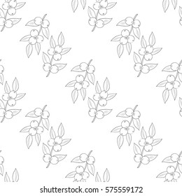 Camu camu berry, fruit, leaf branch. Superfood organic berry. Hand drawn sketch illustration. Seamless pattern.