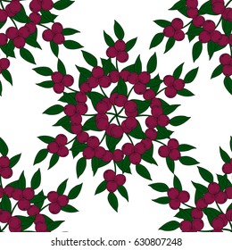 Camu camu berry, fruit, leaf branch. Superfood organic berry. Hand drawn sketch illustration. Seamless pattern in color.