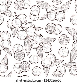 Camu camu. Branch, leaves, fruit, berry. Background, wallpaper, seamless, texture. Monophonic. Sketch.