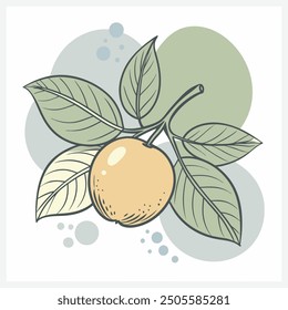 Camu Camp Ilustración vectorial, vibrante, diseño de frutas tropicales