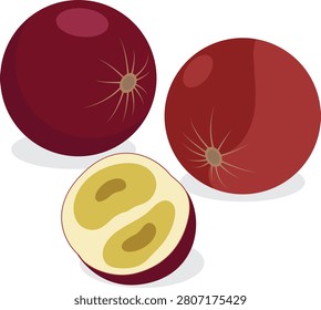 Camu camu fruit vector drawing.