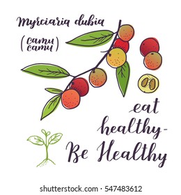 Camu camu with leaves and half berries. Myrciaria Dubia. Super food isolated objects on white background. Vector illustration with healthy eating quote.