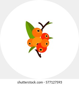 Camu Camu on Branch Icon