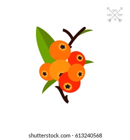 Camu Camu on Branch Icon