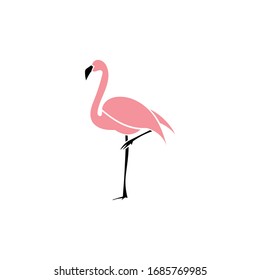 can be used for any logo with a beautiful flamingo bird