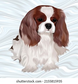 I can make any object or pet animal into a vector Drawing. I am an Expert in Victor Drawing, Victor Tracing, Pet and Animals, Back Ground Remove, Logo Design, Image Editing, Retouching,