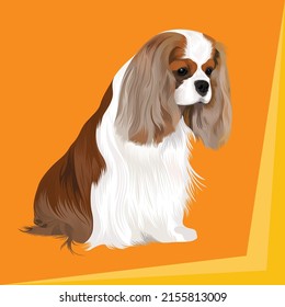 I can make your any object or pet animals into a vector Drawing .I am Expert in Victor Drawing, Victor Tracing, Pet and Animals,