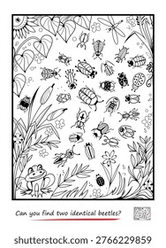 Can you find two identical beetles? Hand drawn vector illustration. Logic puzzle for children and adults. Game Seek and Find. Brain teaser book. Task for attentiveness IQ test. Black and white drawing