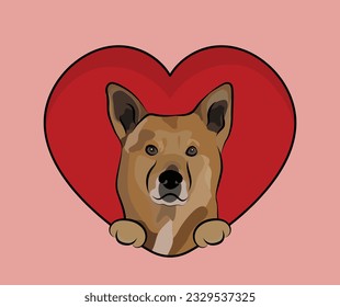 Canaan dog face with paws in a big Valentine's day heart. Love heart with pet head and heart and footprint. Dog face Holding Red Heart Cartoon Icon. St Valentine's day card for dog funs.