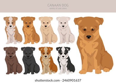 Canaan dog puppy clipart. Different poses, coat colors set.  Vector illustration