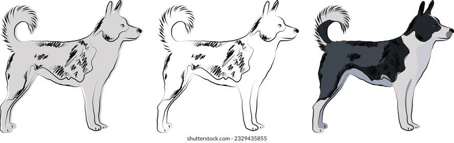 Canaan dog silhouette, outlined graphic. Stand pose dog. Cute dog characters, design for print, cute cartoon vector set. One color design.  Art, hand-drawn style.  Mixed-breed dog, hand-drawn mongrel.