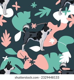Canaan dog wallpaper with leaves, palms, flowers, plants. Pastel navy, floral repeatable pattern. Holiday abstract natural shapes. Seamless floral background with dogs. Birthday wallpaper. Natural.