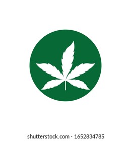 Canabis leaf logo and symbol vector