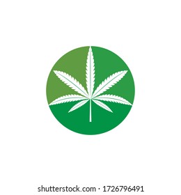 
Diseño de la ilustración vectorial del logotipo de la hoja de Canabis