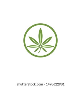Canabis leaf template vector illustration icon design