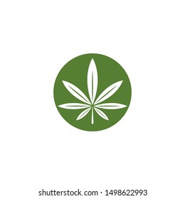 Canabis leaf template vector illustration icon design