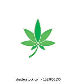 Canabis leaf vector illustration icon design