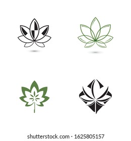 Canabis leaf vector illustration icon design