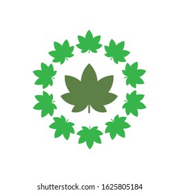 Canabis leaf vector illustration icon design